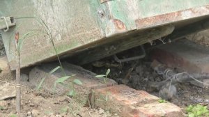 Змеи атакуют! Опять она пришла к нам в гости. Жизнь на юге.