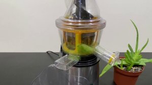 АЛОЭ в СОКОВЫЖИМАЛКЕ