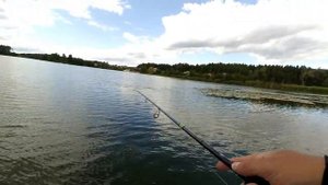 ЭТА ПРИМАНКА СПАСЛА РЫБАЛКУ | Ловля судака | Спиннинг в сентябре