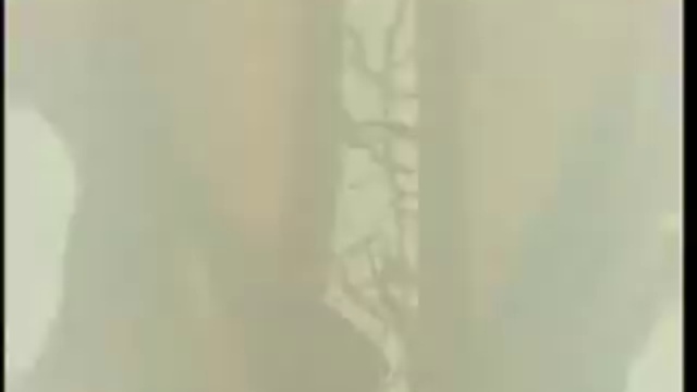 Alain Souchon - Les Regrets (Clip officiel) смотреть онлайн