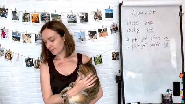 Lesson 19 Английский с нуля A pair of...