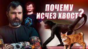 Шимпанзе играет в бутылку | Почему исчез хвост? | Соколов и Дробышевский - Новости АНТРОПОГЕНЕЗ.РУ