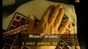 Росте Черешня в Мами на Городі