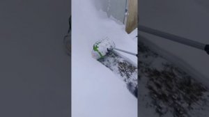 снегоуборочная лопата greenworks