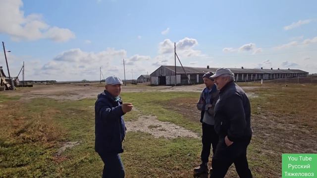 Жеребцы породы Русский тяжеловоз. В гостях на коне ферме. смотреть онлайн