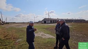 Жеребцы породы Русский тяжеловоз. В гостях на коне ферме.