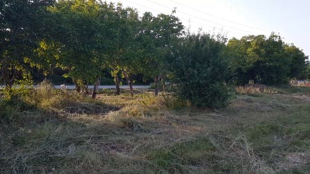 Продажа коммерческой недвижимости в Симферополе, ул.Ярославская, 1