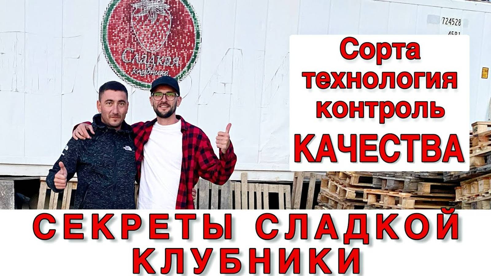 СЕКРЕТЫ СЛАДКОЙ КЛУБНИКИ