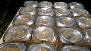 Сотовый мед в банках