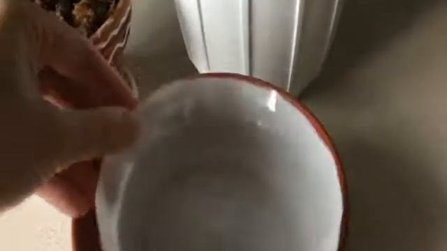 Орхидея Ликаста.