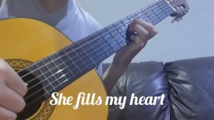 Love Story (Where do i begin) Guitar Cover