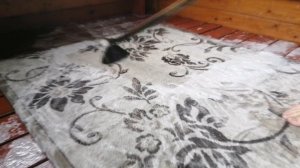 Лайфхак!!! Как быстро и легко помыть ковер!!!!!