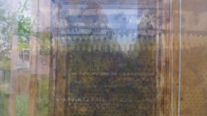 ПРОЗРАЧНЫЙ УЛЕЙ, ЛУЧШЕЕ 1часть