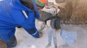 Зимняя рыбалка на щуку. Балансир, блесна. Рыбалка в Казахстане!