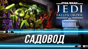 Достижения Star Wars Jedi: Fallen Order - Садовод/Все семена растений