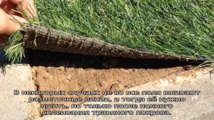 Укладка искусственной травы