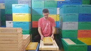 Наващивание рамок 2000 шт в день. Промышленное пчеловодство. Пасека Жмайловых(Буржуй).