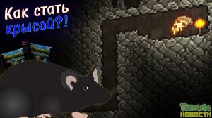 ТРАНСФОРМАЦИЯ В КРЫСУ В ТЕРРАРИИ И НОВАЯ НАСТОЛКА // ТЕРРАНОВОСТИ