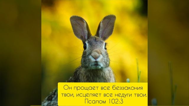 Учите стихи из Библии вместе с пушистиками ???#библиядлядетей#мультик#дети#развивающиймультик#Бог