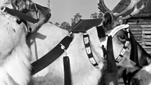 1973 год. Ханты-Мансийский округ. Скульптор Николай Канев. Киноочерк "Северные эскизы".