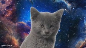 мяу мяу мяу мяу - Песенка Космических Котиков 999х