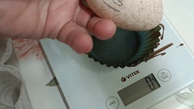 #3 инкубация индюшиных яиц зимой /Вес яиц