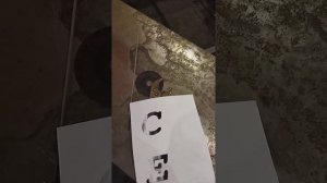 Буквы плазморезом простой способ