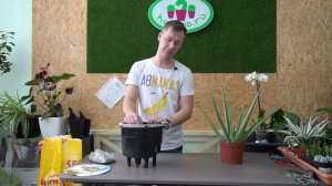 Пересадка Алоэ Вера в кашпо с автополивом Lechuza + немного о хоккее:)