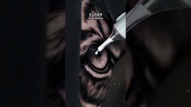 HOW TO TATTOO A TIGER