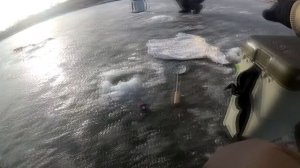 Форель со льда Рыбалка зимой