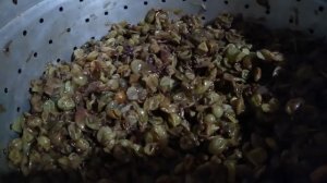 Виноградный СОК без сахара и воды на зиму