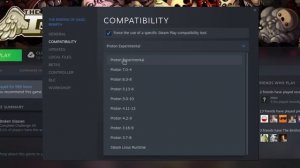 Как играть в Repentance на Linux | Гайд The Binding of Isaac Repentance