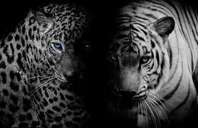 ПРИТЧА О БЛАГОДАРНОСТИ. ВЕДЬМИНА ИЗБА. ИНГА ХОСРОЕВА.mp4 смотреть онлайн