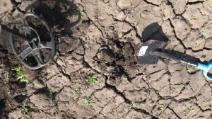 КОП НА ОГОРОДЕ | С ПРИБОРОМ КВАЗАР АРМ ПРО | ОБЗОР НА КВАЗАР