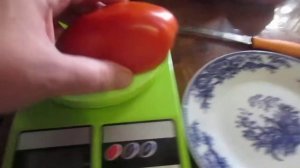 Томат Ракета.