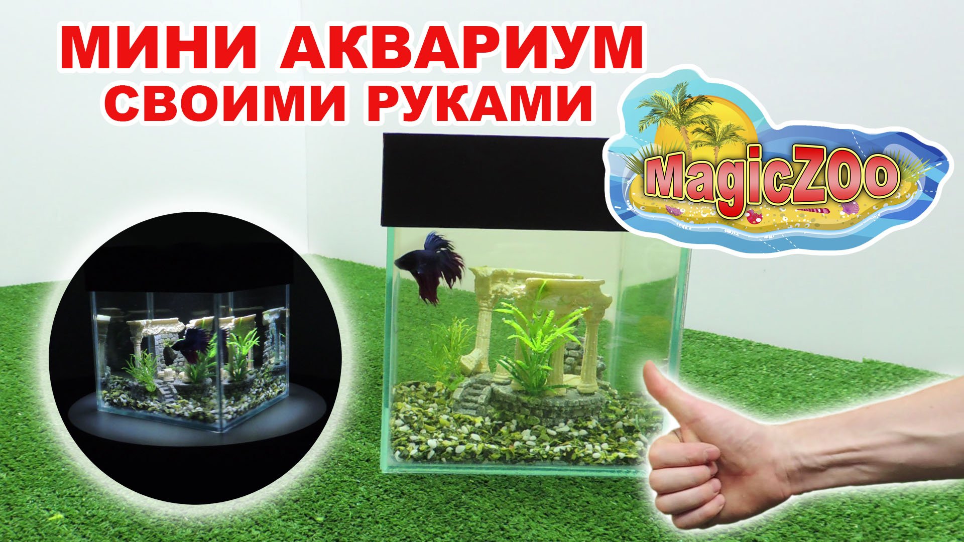 Инструкция по сборке аквариума. Мини аквариум своими руками. Мост для рыб между аквариумами. Грунт для петушка в аквариуме. Мини Скат аквариумный