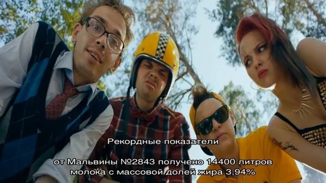 Сычевская порода – коровы смешанной продуктивности