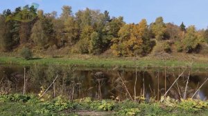 Какая рыба лучше ловится в октябре? Какую рыбу ловить в октябре? Какая рыба клюет в октябре?