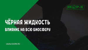 Геннадий Николаевич Косьяненко - Чёрная жидкость «ЭКОР-К»