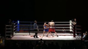 Профессиональный бокс. Professional boxing.