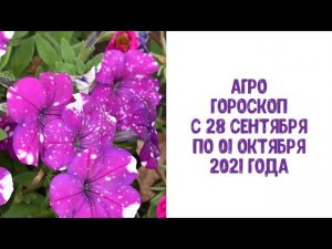 Агрогороскоп с 28 сентября по 01 октября 2021 года. Домашние успешные дела по Луне