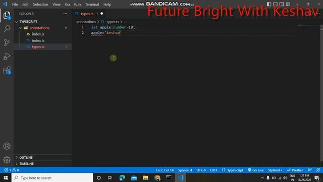 Annotation variable &  Typescript Types