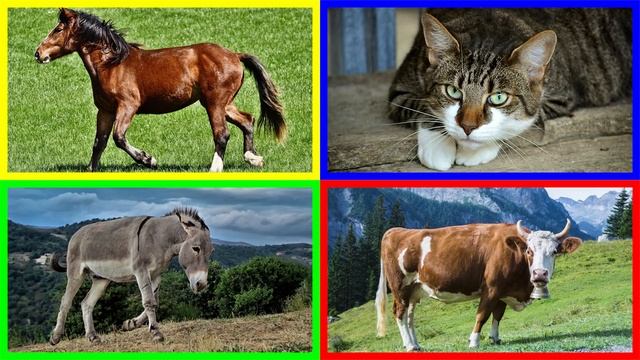 Show me the FARM ANIMAL Game for Kids - Where is the animal? Farm Animals Vocabulary in 4K