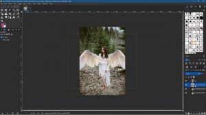 How to install GIMP 2.99 Development Release