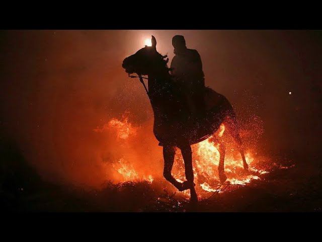 Путешествие Посланика. Благочестие и богобоязненность. смотреть онлайн