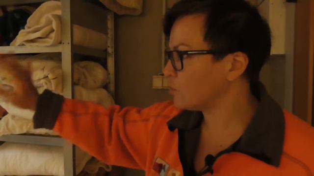 Репортаж из Таллиннского приюта для животных смотреть онлайн