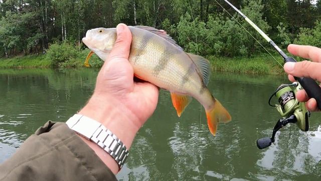 ЧТО ТВОРИТСЯ ТУТ ? ТАЙМЕНЬ ... ЩУКИ и ОКУНИ на каждом забросе ! смотреть онлайн