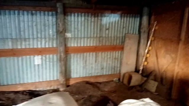 План курятника на 150 кур несушек!!!