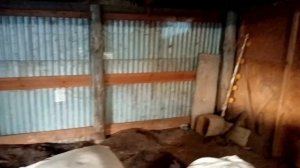 План курятника на 150 кур несушек!!!