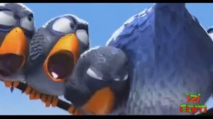 Злые птички! Клевый мультик от Pixar